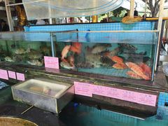 -荔城生鲜盛宴(番禺旗舰店)
