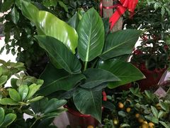 -无锡文化工艺品市场(槐古路店)