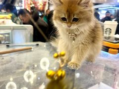 -百联川沙购物中心