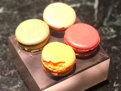 -甄御•海鲜新青岛菜(麦岛店)