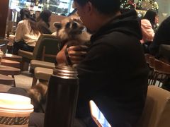 -星巴克臻选(北京颐堤港中心第二店)