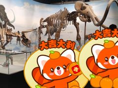 -辽宁古生物博物馆