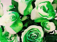 -ROSEONLY诺誓(青岛万象城店)