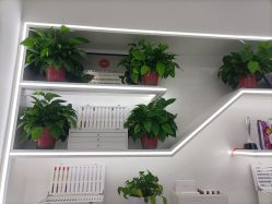 -蕾特恩专业祛痘·皮肤管理