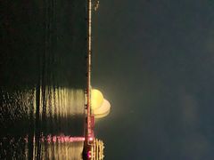 -野狸岛