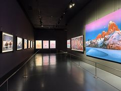 -罗红摄影艺术馆