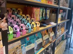 -欣宠猫屋·矮脚拿破仑·蓝金金渐层