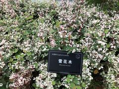 -东莞植物园