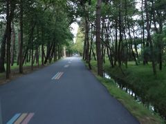 -日照海滨国家森林公园