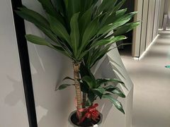 -荔湾足浴·按摩·SPA会所(龙华店)