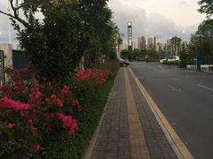 -南方医科大学深圳医院