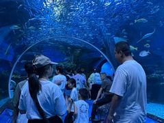 -海合安成都极地海洋公园
