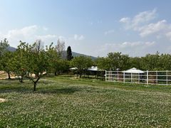 -名花谷生态庄园
