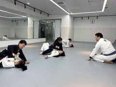 -EFL巴西柔术·综合格斗·泰拳·少儿体能训练(虹桥德必馆)