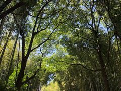 -苏州河梦清园环保主题公园