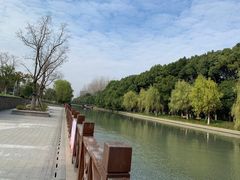 -九科绿洲