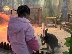 -常州海昌海洋探索馆