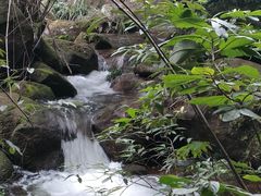 -赤水丹霞旅游区·佛光岩