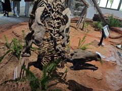 -自贡恐龙博物馆