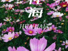 -红花湖景区