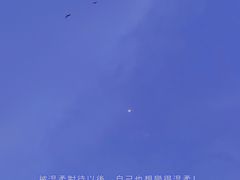 -四川大学(望江校区)