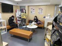-申普宠物医院·心脏介入·心血管微创(总院)