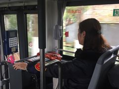 -公交车(申崇六线)