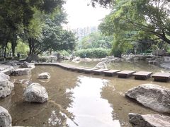 -神仙树公园