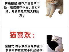 -美联众合动物医院·24h转诊中心