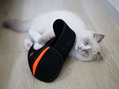 -纳吉亚猫专科动物医院博雅分院