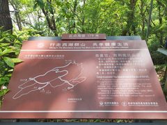 -九曜山