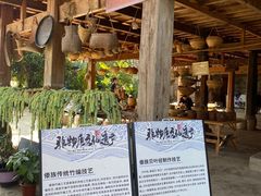 -西双版纳傣族园