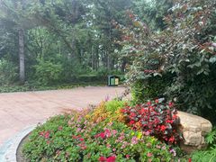 -长春市南湖公园