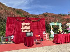 -大围山国家森林公园