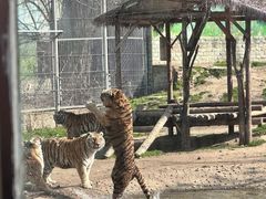 -西安秦岭野生动物园