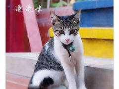 -鼓浪屿幸福天空花园餐厅