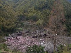-林坑古村落