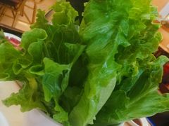 生菜-陈记顺和潮汕牛肉火锅(韩江路店)