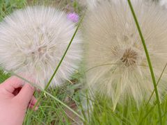 -汉长安城未央宫国家考古遗址公园