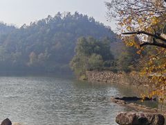 -桃花岭景区
