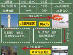 -日照灯塔风景区