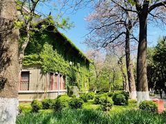 -山东大学(趵突泉校区)