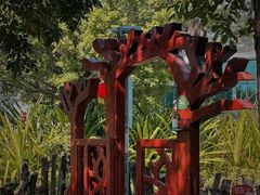 -福田红树林生态公园