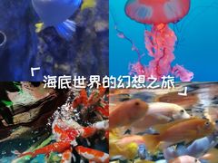 -太平洋海底世界