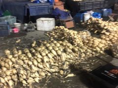 -江杨农产品批发市场