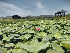 -处女泉风景名胜区