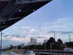 -陈添記·祖傳爽鱼皮·西关老字号(广州首店)