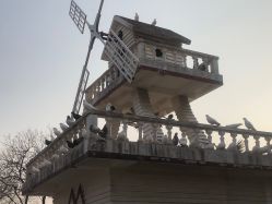 -玄武湖景区-情侣园游乐场