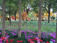 -歌斐颂巧克力小镇