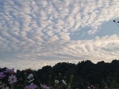 -尚贤河湿地